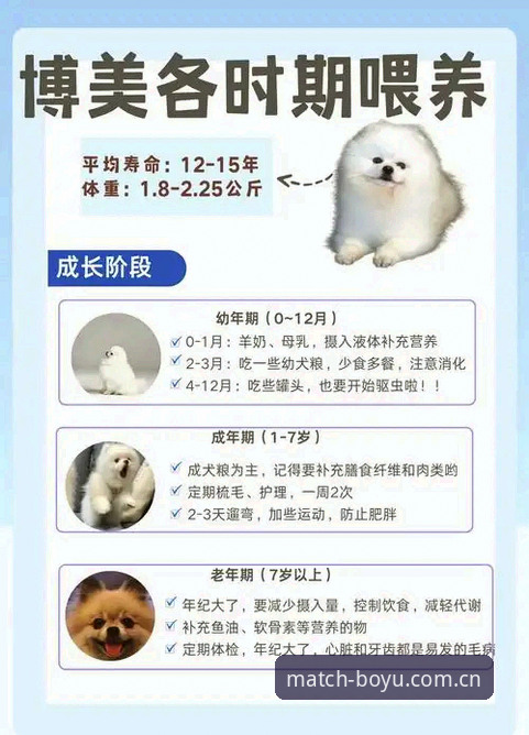 博鱼体育好用吗？从菜鸟到老手的全面解析